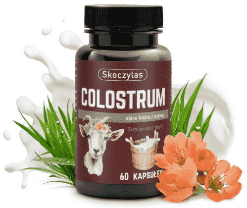 Colostrum siara kozia z pigwą