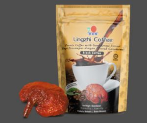 Lingzhi Black Coffee - 20 saszetek po 4,5 g / Kawa rozpuszczalna z dodatkiem reishi (ganodermy)