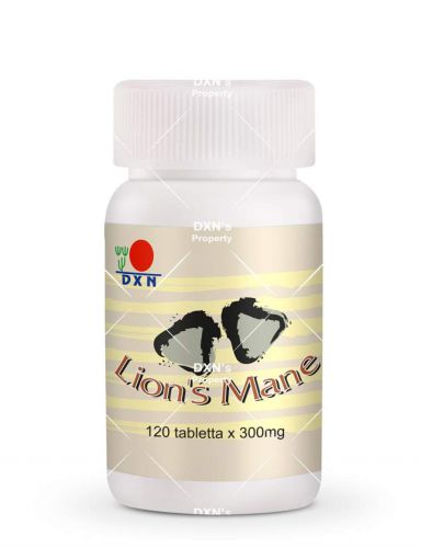 Lion\'s Mane Tablet 120 / Lwia grzywa wspierająca układ nerwowy, pokarmowy, krwionośny, odpornościowy